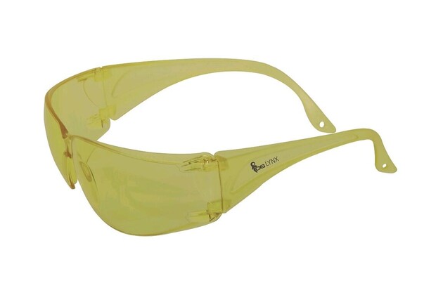 10263_4110 003 150 00 CXS LYNX.JPG